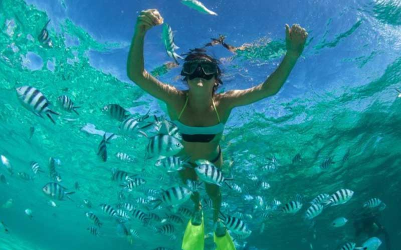 snorkeling